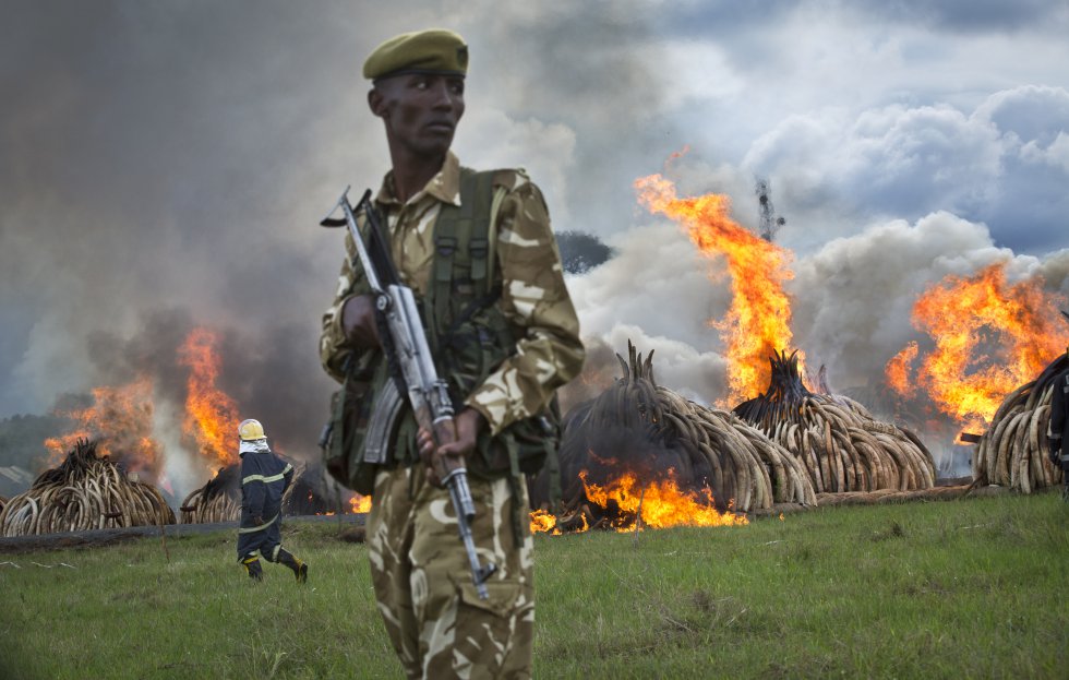 Kenia avisa a los cazadores furtivos que se enfrentan a la cadena perpetua